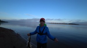 СУДАК КЛЮНУЛ НА ЭТО! РЫБАЛКА С НОЧЕВКОЙ НА Р. КАМА! ЛОВЛЯ СУДАКА С ЛОДКИ НА ОТВОДНОЙ ПОВОДОК