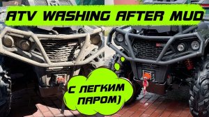 Что будет если не мыть технику вовремя? или как потратить пол дня своего времени)