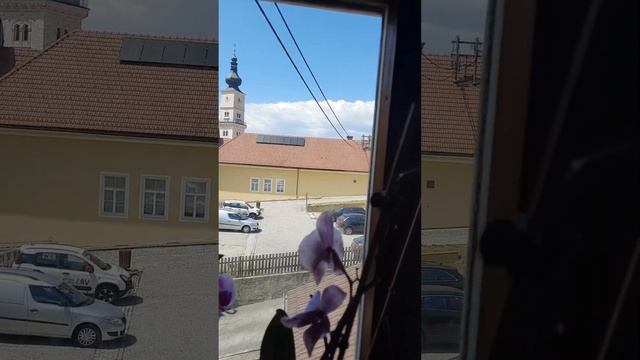 Псалом 20 с молитвой смотреть онлайн