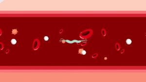 Вирус и бактерия. В чём же разница?