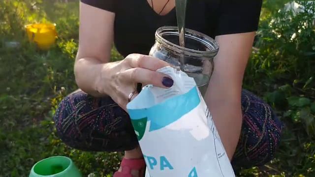 Почему гниют кабачки? смотреть онлайн