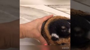 САДОВАЯ ФИГУРА КРОТ ИЗ НОРКИ Н-12СМ