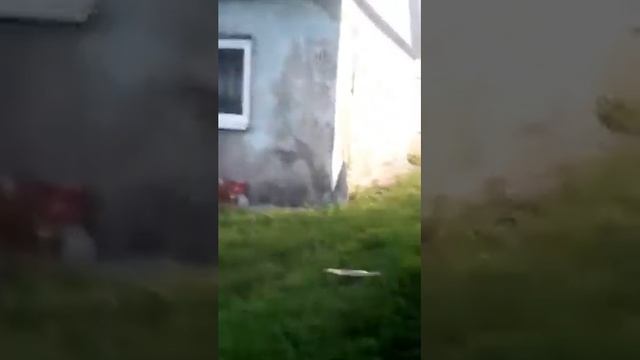 Мой первый раз на скутере!Поругался с мамой смотреть онлайн