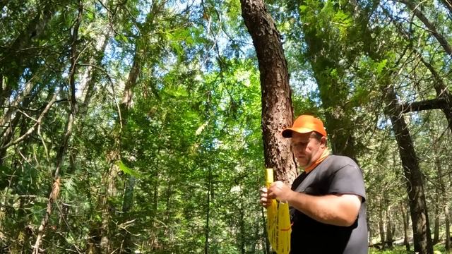 Posting My Farm to Prevent Poachers смотреть онлайн