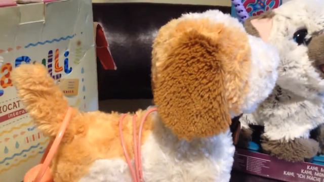 Собачка Лапуля интерактивная на поводке Желто белого цвета Видео для детей смотреть онлайн