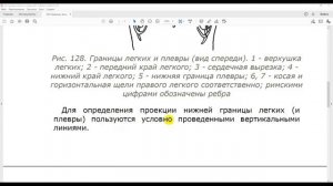 42 Границы легких и плевры