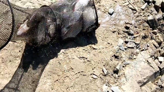 Седова заимка 29 05 2019 смотреть онлайн