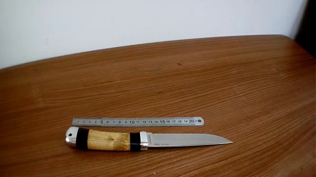 Нож Лиса из хирургической стали 100Х13М. Златоуст.