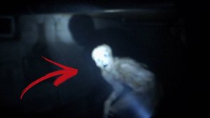 Ночной ужас: Жуткие происшествия в темном лесу, заснятые на камеру