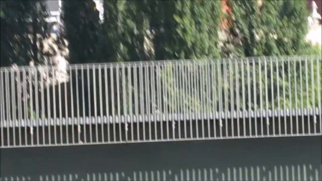 El vuelo del martinete a cámara lenta. Madrid Rio 10-6-2017 смотреть онлайн