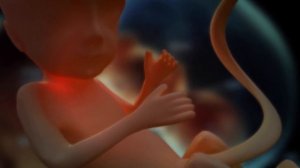 Почему Ребенок Пинается в Утробе ? Шевеления Плода.