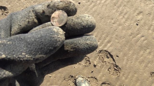 Вода годами размывает берега , вымывая кости и монеты из почвы ! Сильный отлив помог нам в поиске!! смотреть онлайн