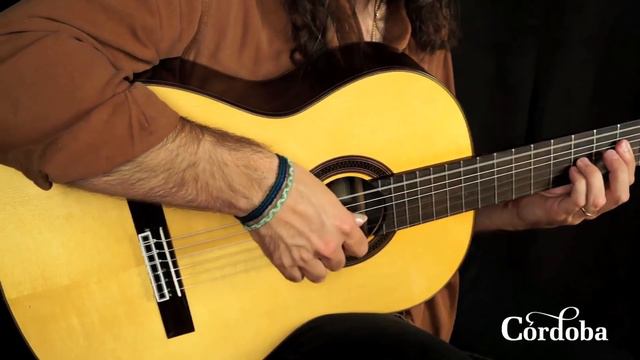 Cordoba Guitars - C7 Spruce
