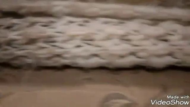 АРТУРЧИК ПОЁТ ПЕСНИ/ВРЕМЯ И СТЕКЛО-ТРОЛЛЬ смотреть онлайн