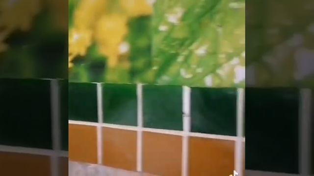затирка швов смотреть онлайн