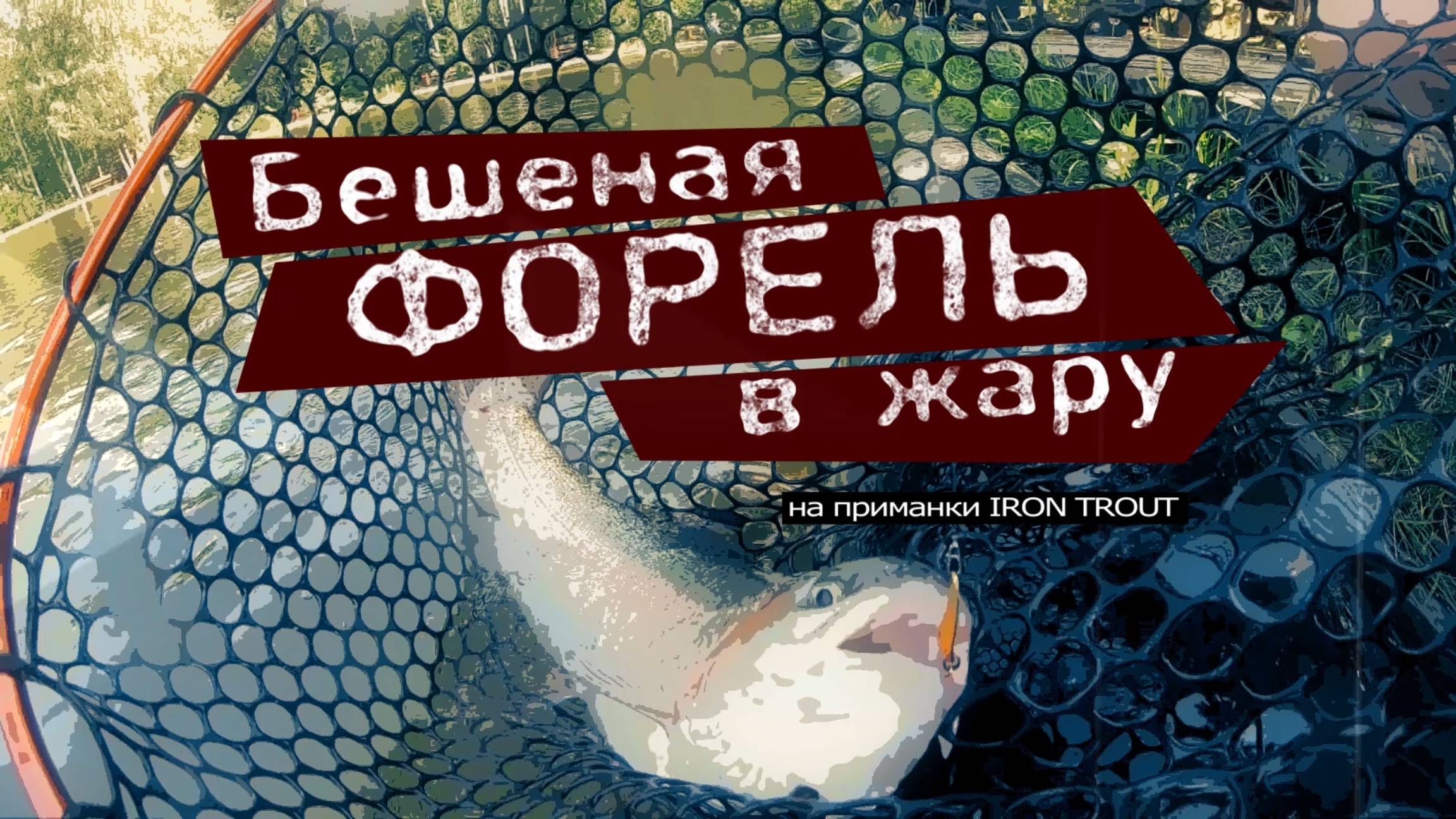 Ловим бешеную форель в жару на приманки IRON TROUT. Часть 1