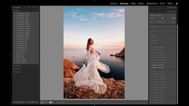 Lightroom Classic Color Profile | Free Download! смотреть онлайн