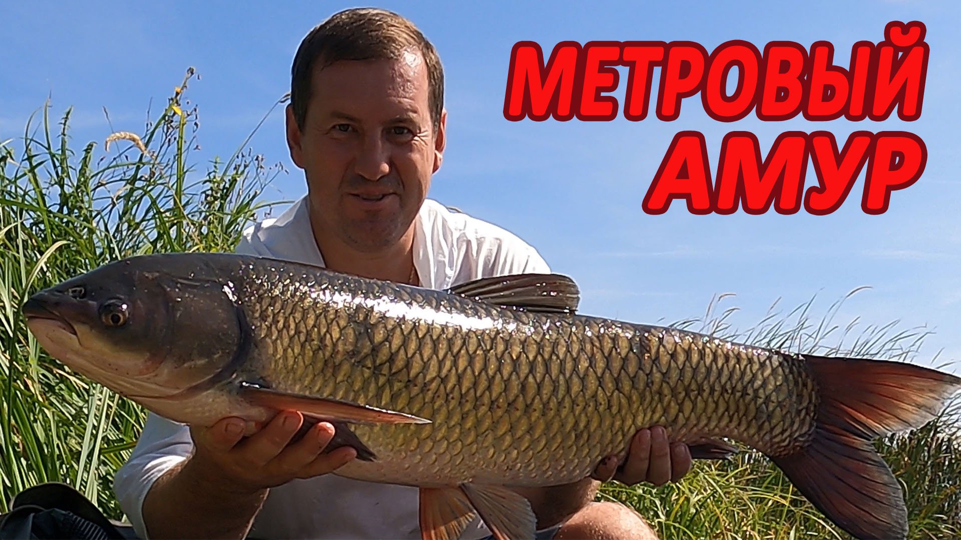 МЕТРОВЫЙ АМУР СДЕЛАЛ МОЮ РЫБАЛКУ УДАЧНОЙ! смотреть онлайн