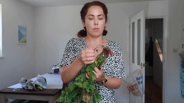 Garden Update & HARVEST, Disney HAUL and Weird Taste Test! смотреть онлайн