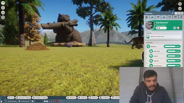 Cats Category Animals at Planet Zoo | Lion, Jaguar, Bengal Tiger, Snow Leopard, Siberian Tiger смотреть онлайн