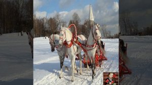 Девятова Марина -  В лунном сиянии снег серебрится 🍂