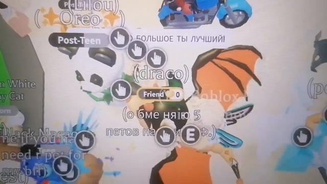 Помогаю людям, которых обманули в Adopt Me!