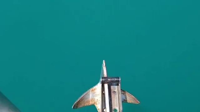 Небуг | Сезон 2023 | Морская Прогулка | 89181018867 смотреть онлайн