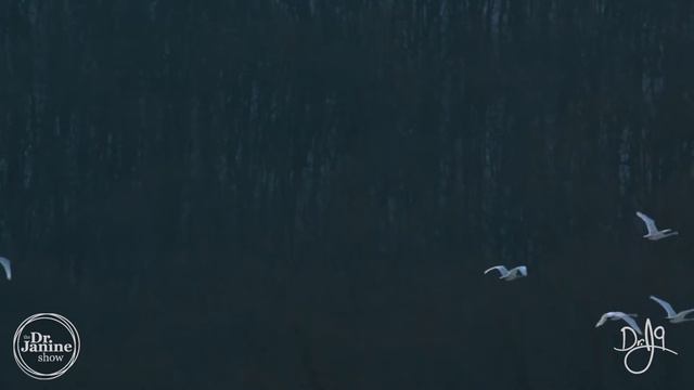 Beautiful Relaxing Music | 432Hz Deep Healing Cleanse | Positive Love Energy | Piano & Guitar Musi смотреть онлайн