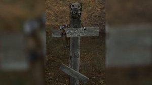 ИСТОРИЯ КЛЫКА. STALKER.