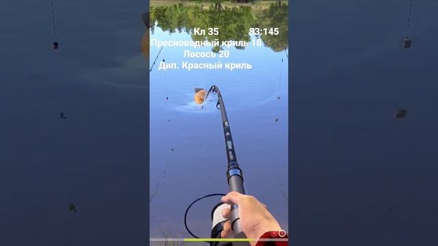 #трофейная #russianfishing4 #рр4 #русскаярыбалка4 #rr4 #озянтарное #карп #карппризрак смотреть онлайн