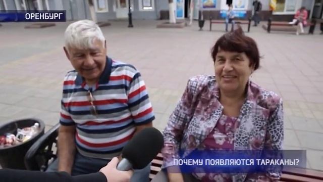 Опрос: почему появляются тараканы? смотреть онлайн