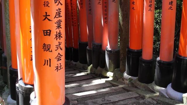 Cicadas of Inari temple in Kyoto / Цикады храма Инари в Киото смотреть онлайн