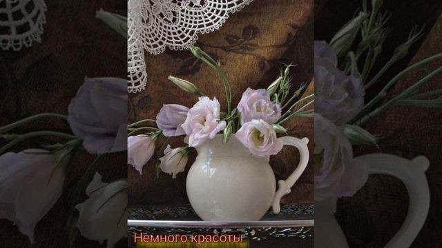 Красивые картинки смотреть онлайн