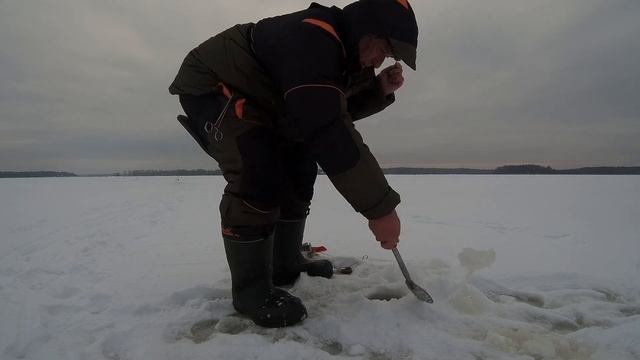 СУПЕР РЫБАЛКА . Очередная вылазка на Волгу за бершом и судаком . ВОТ И с уловом . смотреть онлайн