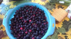Компоты из ирги, смородины чёрной.