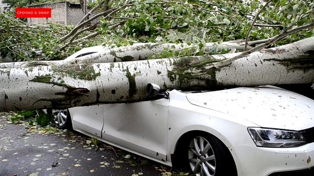 Экстренный выпуск! 3 4 Озвучивание видео с помощью искусственного интеллекта вариант №1 смотреть онлайн