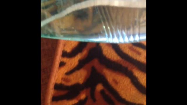 |Настольный торнадо |Подарок| 🌈