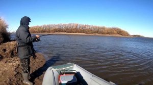 Осенние ЩУКИ и ЗМЕЕГОЛОВ на спиннинг на Амуре. Лучшая щучья приманка