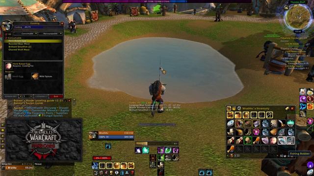 #10 | Druid 14+ Hardcore | Death = Delete | Wow Classic | Fishing смотреть онлайн