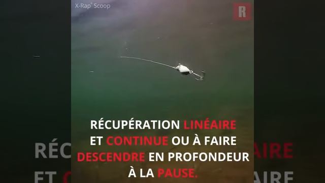 RAPALA X Rap Scoop Ches Crankys.fr