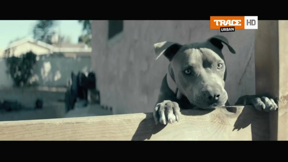 Ed Sheeran - Don't =HD= смотреть онлайн