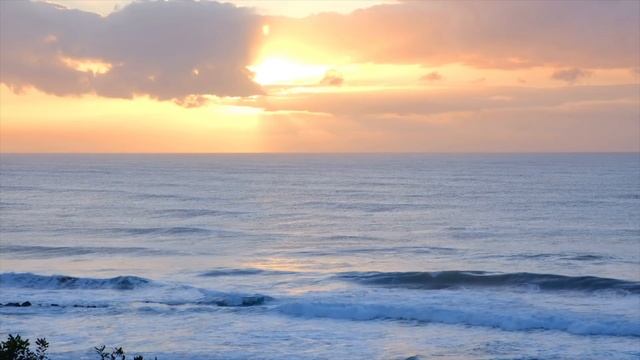 Guided Meditation New Moon Lion's Gate Portal August 2021 ♌️?✨ смотреть онлайн