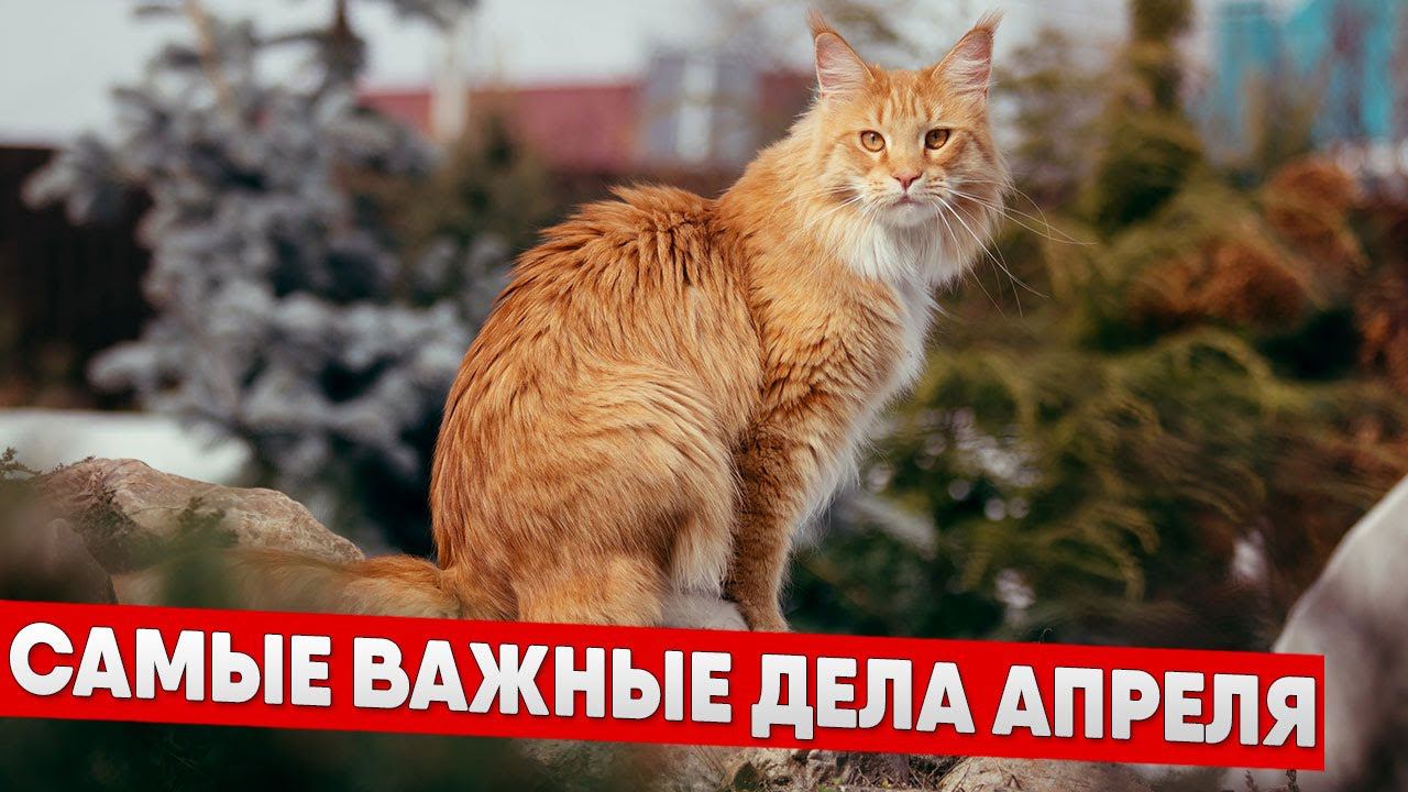 Самое важное, что нужно сделать в апреле