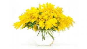 Изучаем цвета - развивающая весёлая песенка для малышей. Желтый цвет. Обучающий мультик.