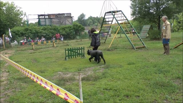 Стенка на Стенку-2014. Джентли Борн Верона смотреть онлайн