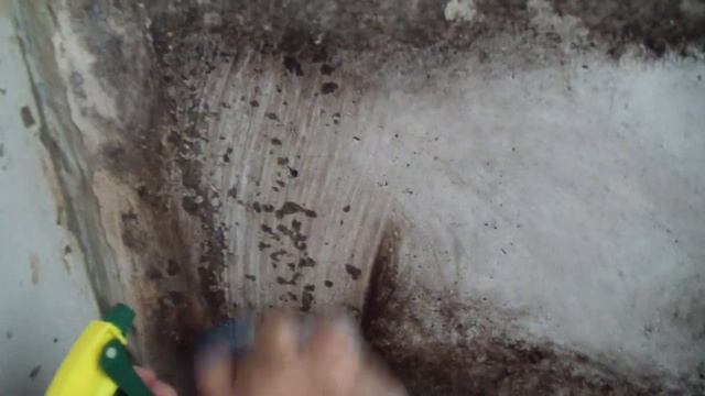 Как убрать плесень на балконе с минимальными затратами(средство против плесени за 20 рублей). смотреть онлайн