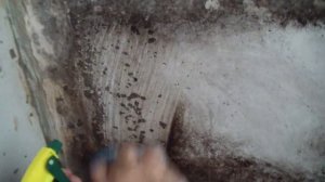 Как убрать плесень на балконе с минимальными затратами(средство против плесени за 20 рублей).