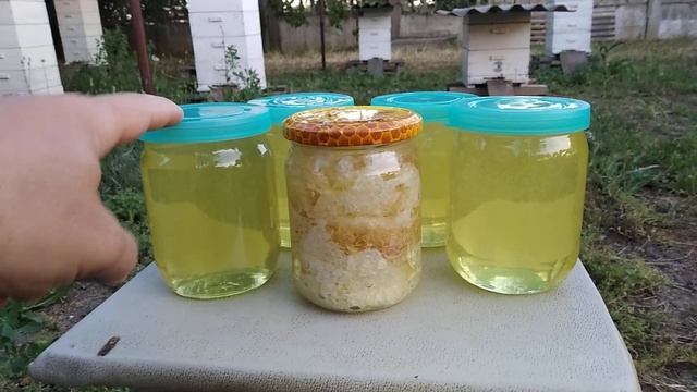 Вот такой вот медок с белой акации в этом году.Чистый как слеза младенца :) смотреть онлайн