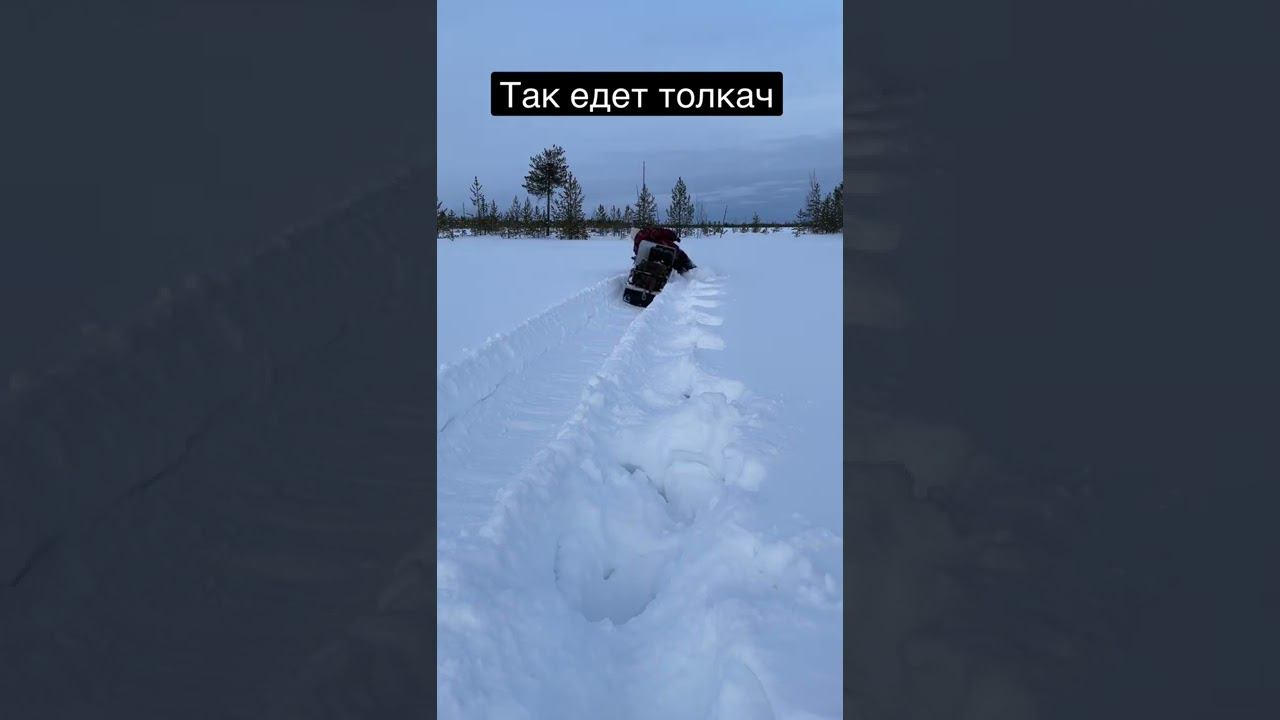 Честный тест смотреть онлайн