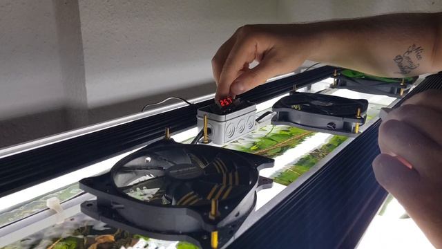 Охлаждение аквариума. DYI